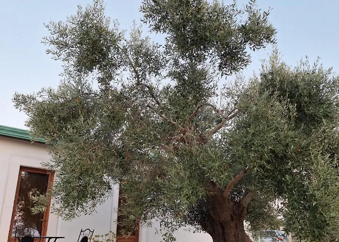 Masseria Cecato 4*